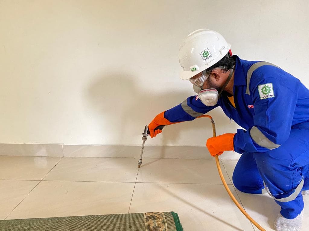 Jasa Anti Rayap Profesional dengan Layanan Bergaransi