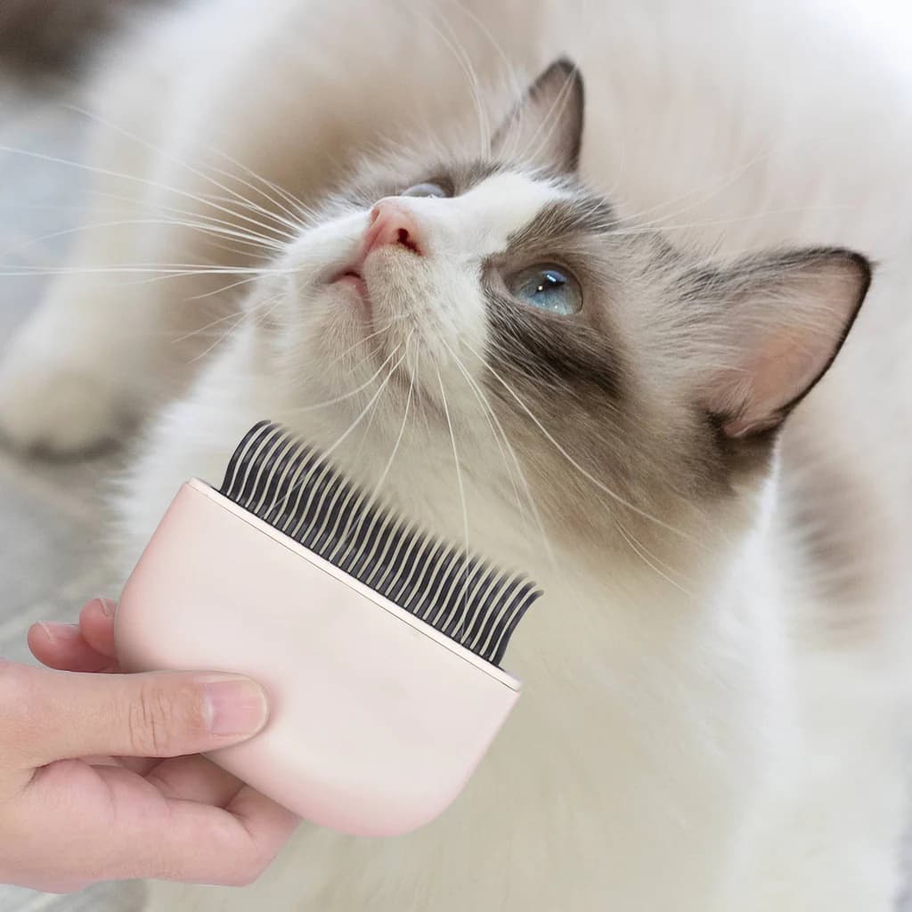 Catshoponline – Gentle Grooming Solutions for Happy, Healthy Cats