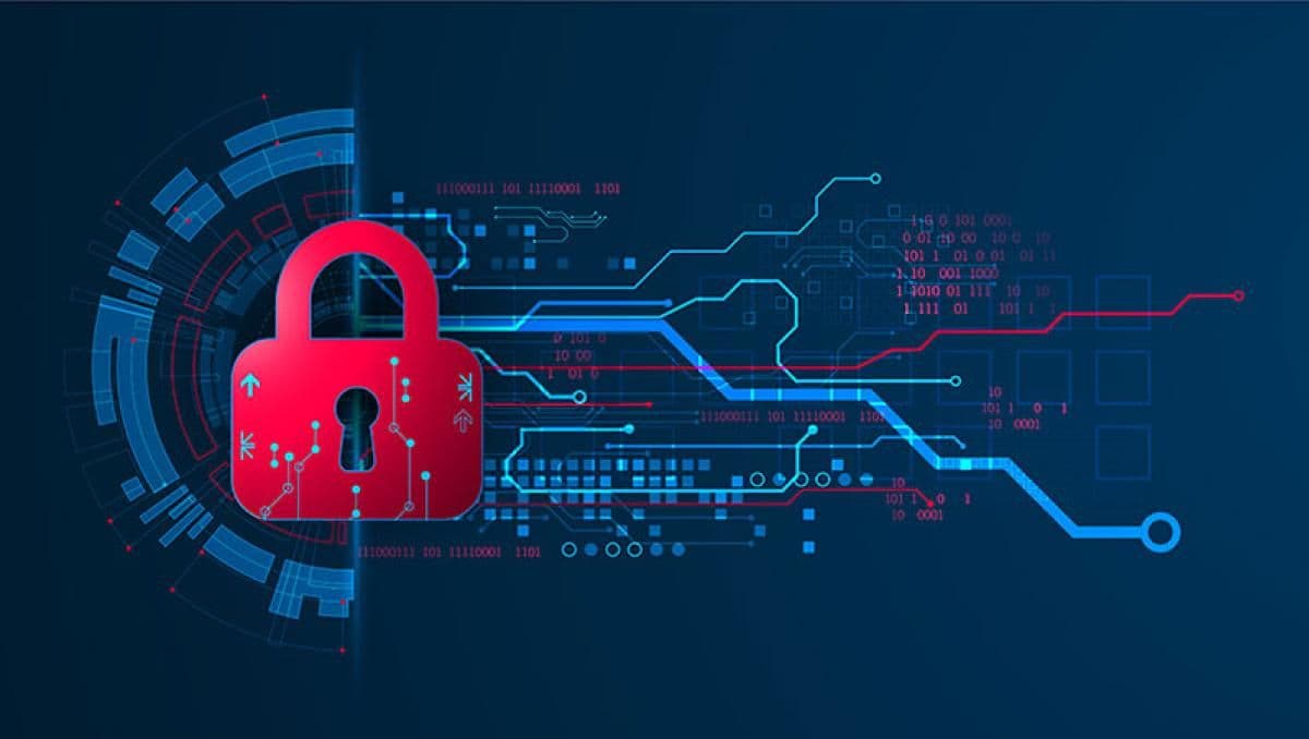 The Role of a privacy hardware store in Providing High-Quality Digital Privacy Gear