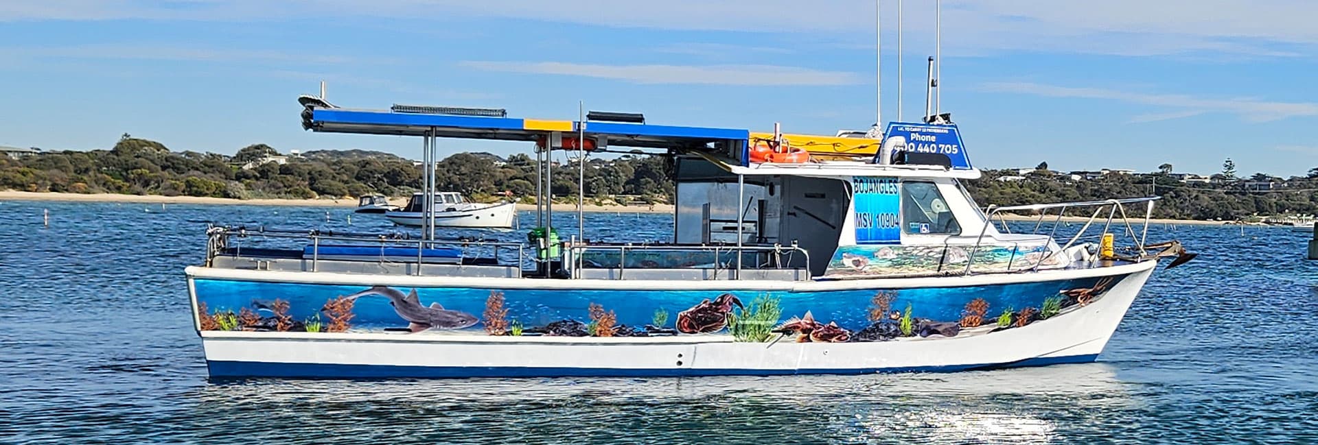 Cabo Fishing Charters – Book Your Adventure Today