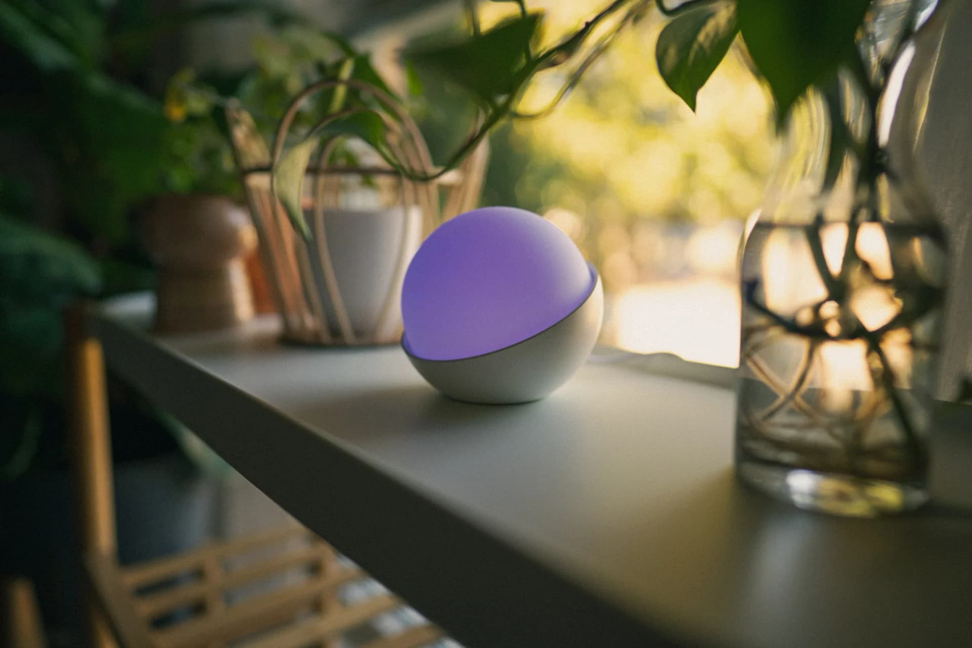 How Lewcose Makes Diabetes Monitoring Easier and Smarter