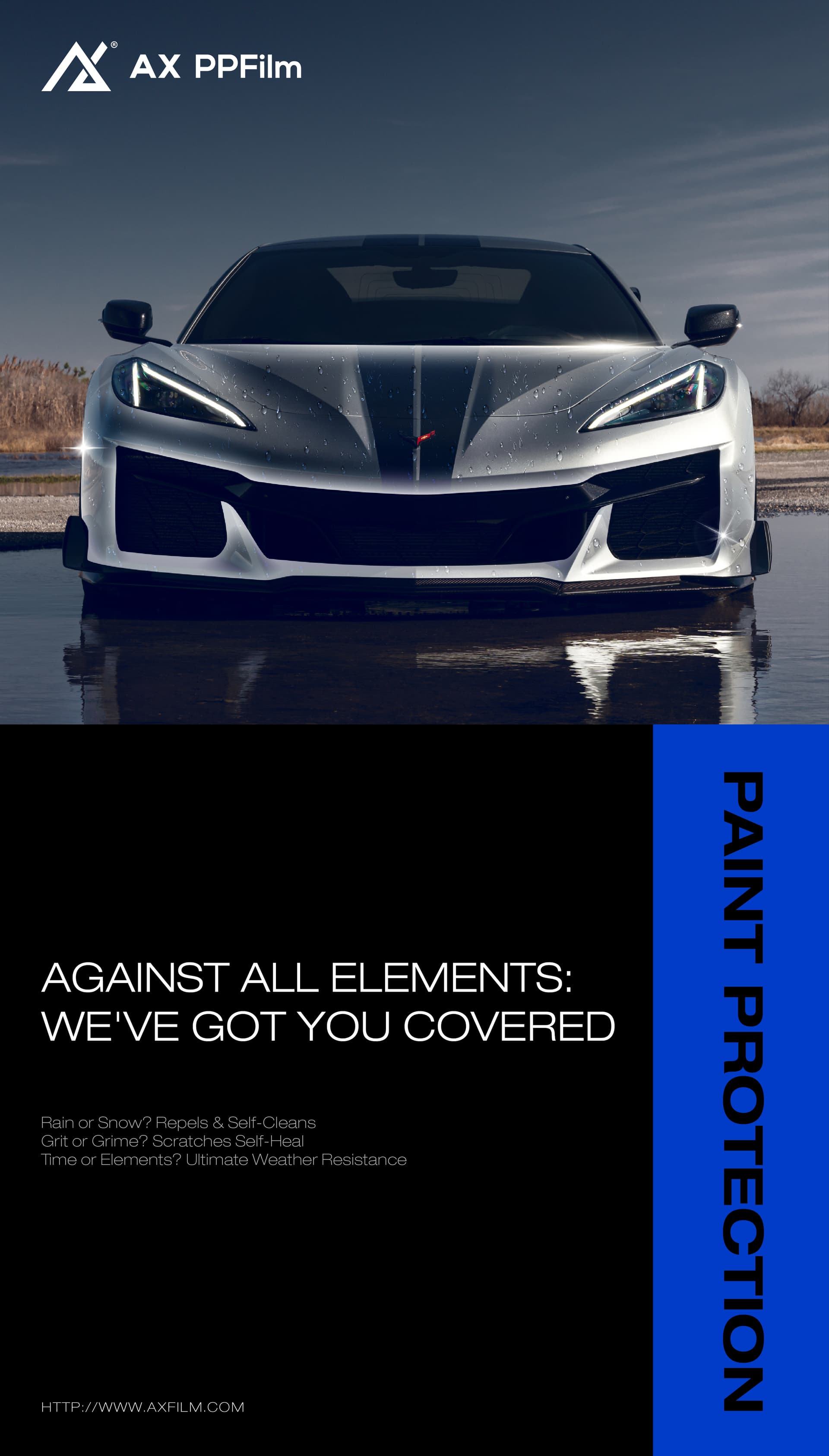 Enhance Your Ride with Premium Color PPF for Unmatched Protection and Style