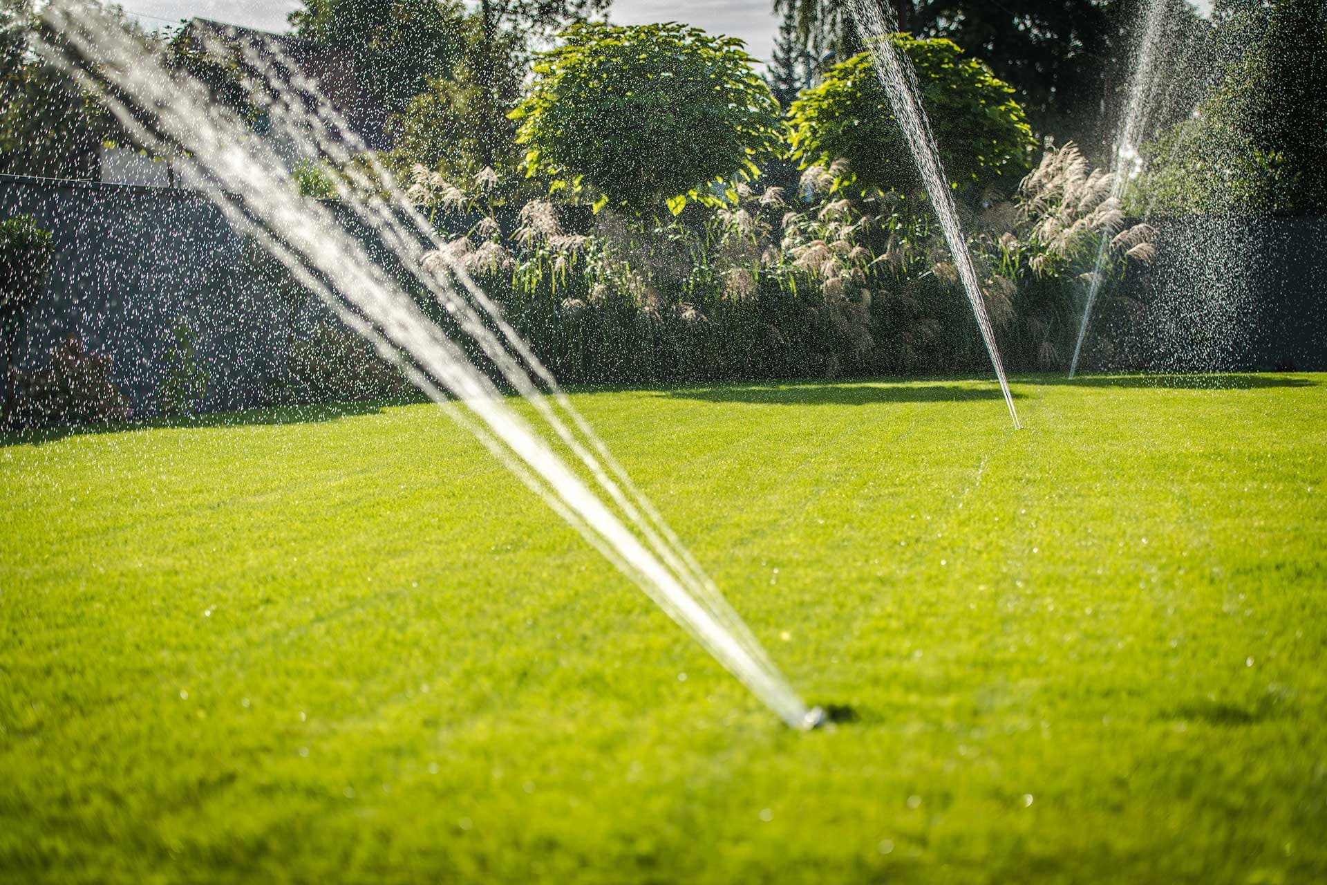 Trusted Professional Irrigation Services in Fort Worth, TX for Homes and Businesses