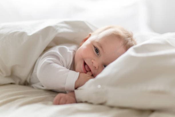 Nutritious Organic Baby Food Pouches for On-the-Go Families