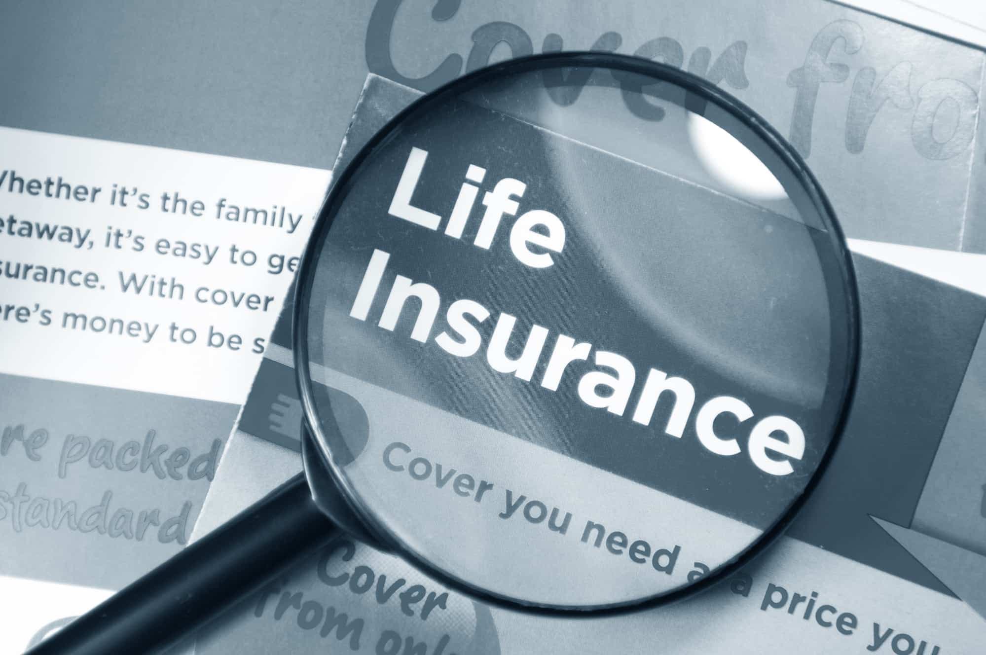 Stein Insurance Homeowners Insurance: Peace of Mind for Your Property
