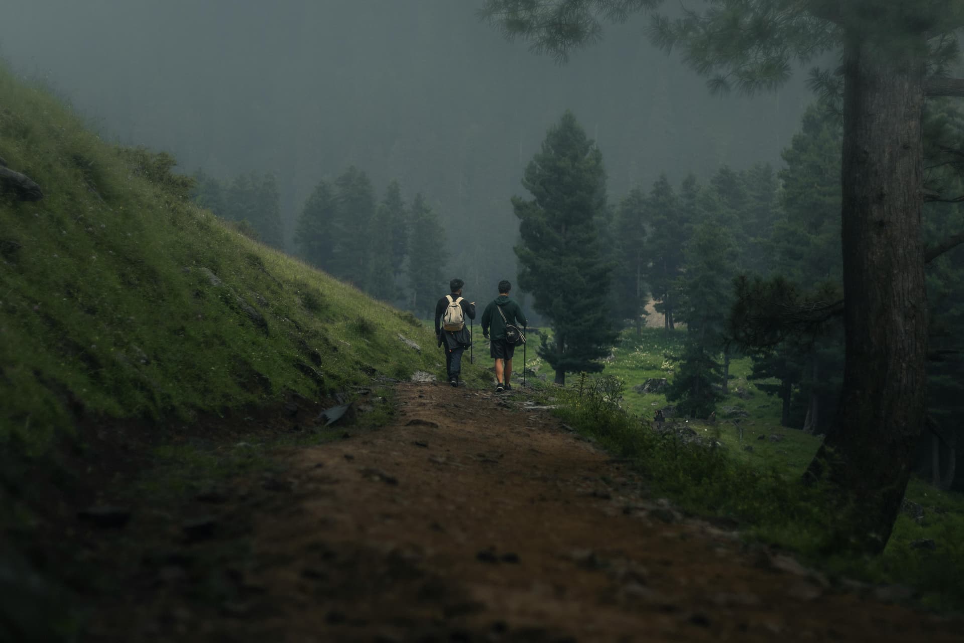 Cool Trails: Explore Wildlife, Birdwatching, and Scenic Hiking Adventures
