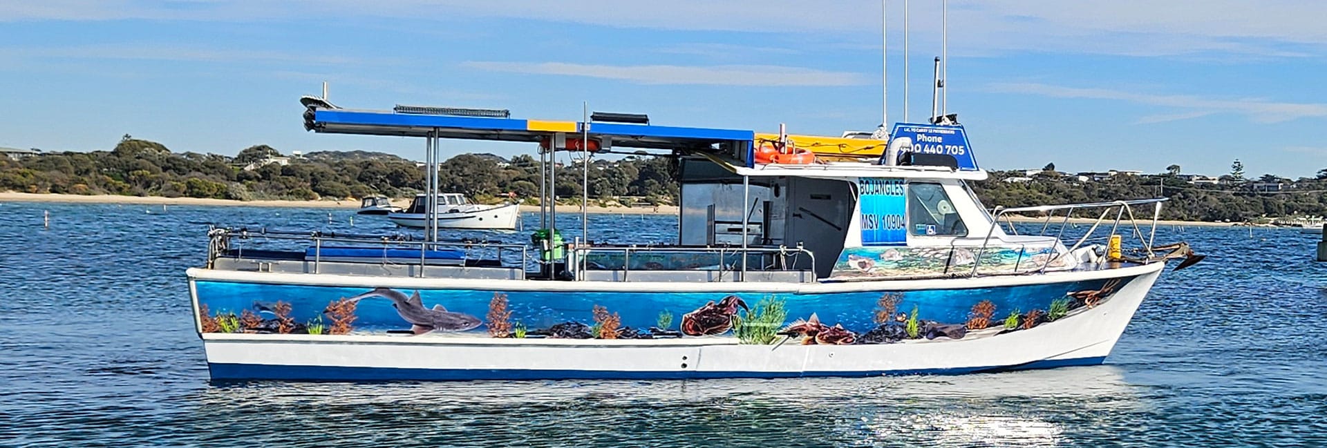 Cabo Fishing Charters – Book Your Adventure Today