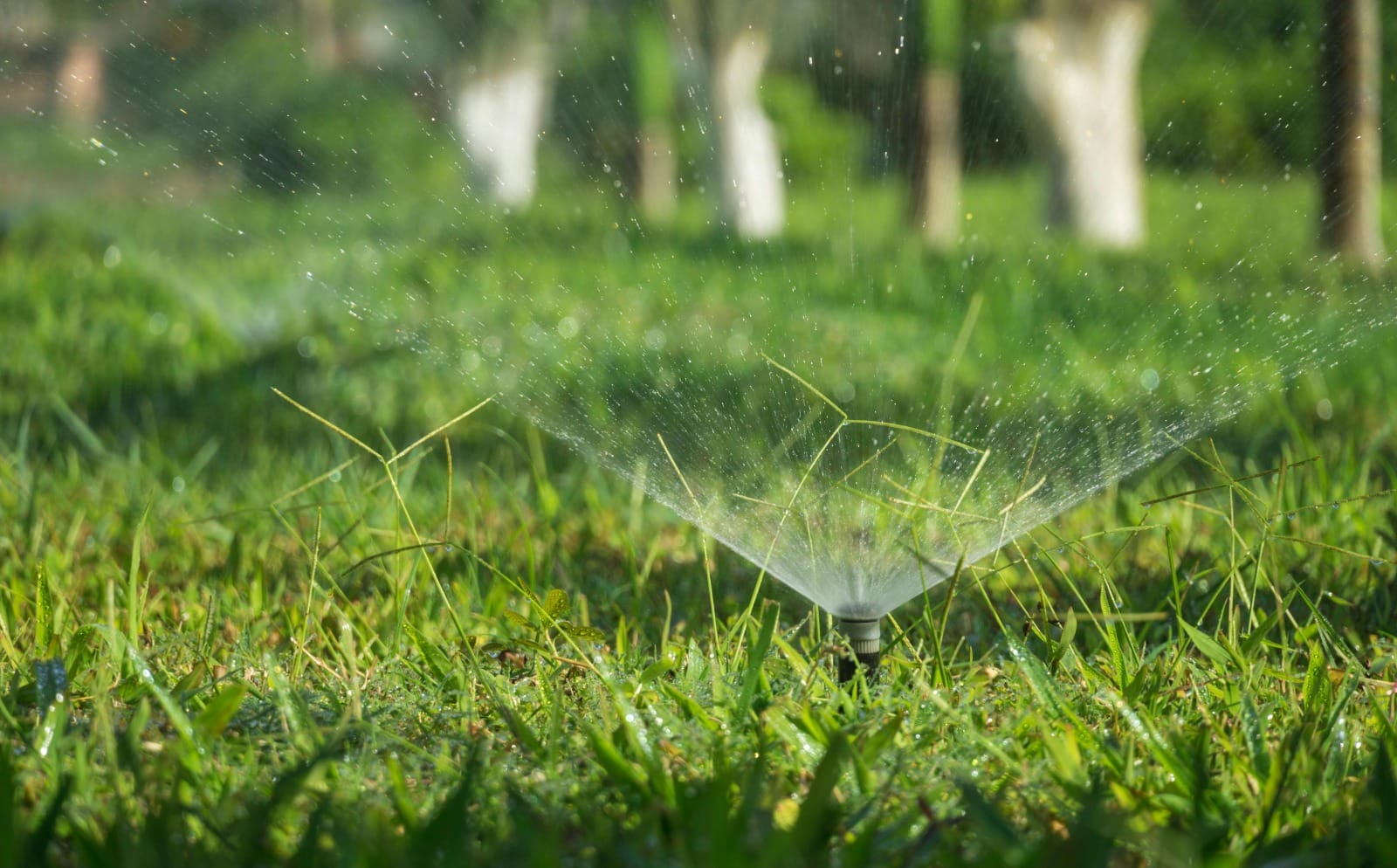 Efficient &amp; Affordable Professional Irrigation Services in Haltom City, TX