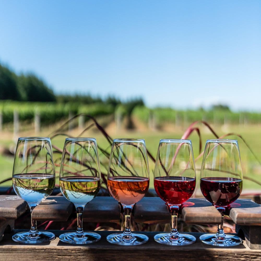 Explore Vineyards in Style with a Winery Tour Limousine