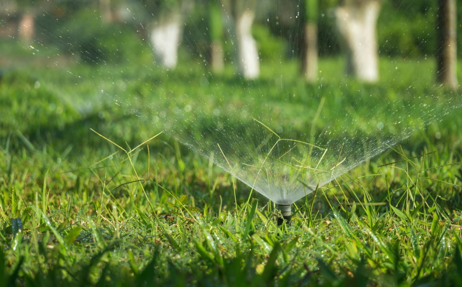 Efficient & Affordable Professional Irrigation Services in Haltom City, TX