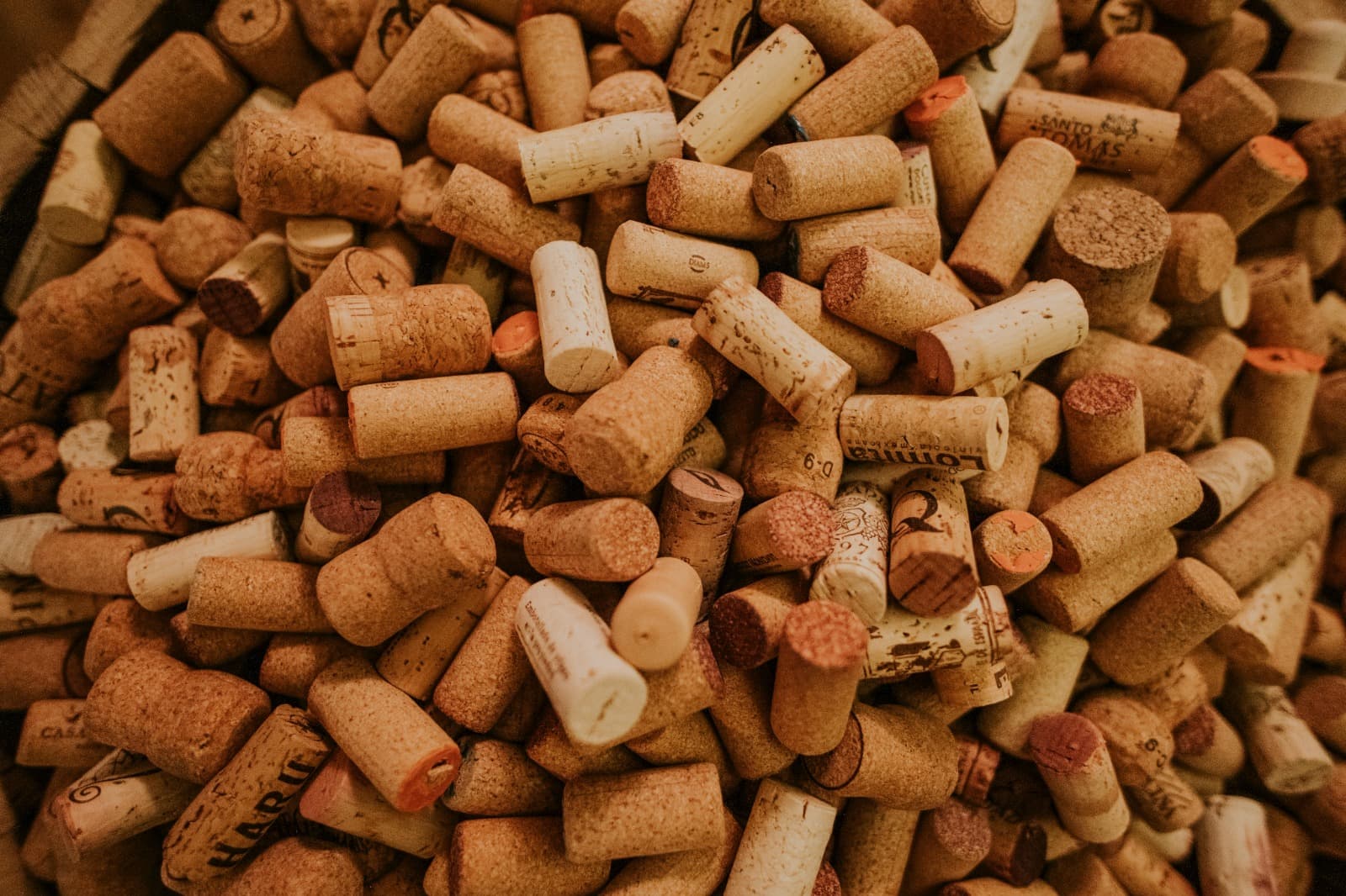 Bulk Wood Pellets France: Sustainable and Cost-Effective Energy Supply