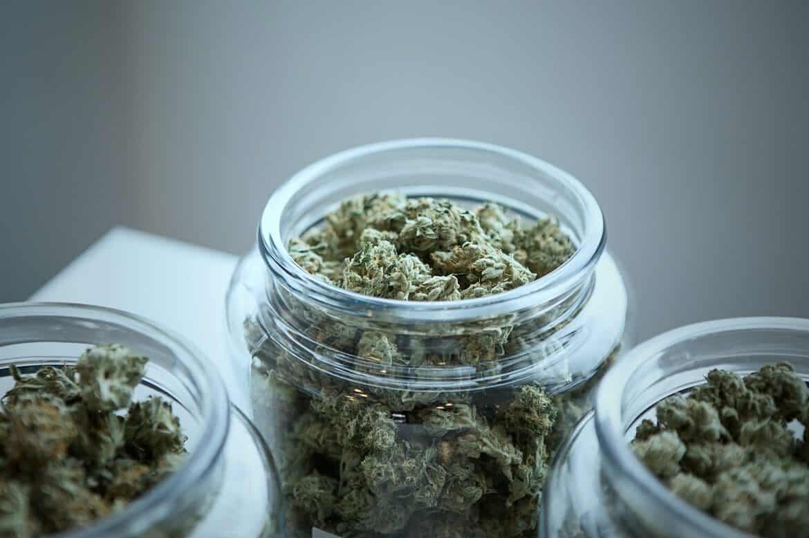 CBD hash wholesale con analíticas, logística rápida y precios profesionales en La Cosechera