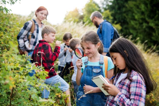Why Swift Nature Camp Is Perfect for First Time at Overnight Camps