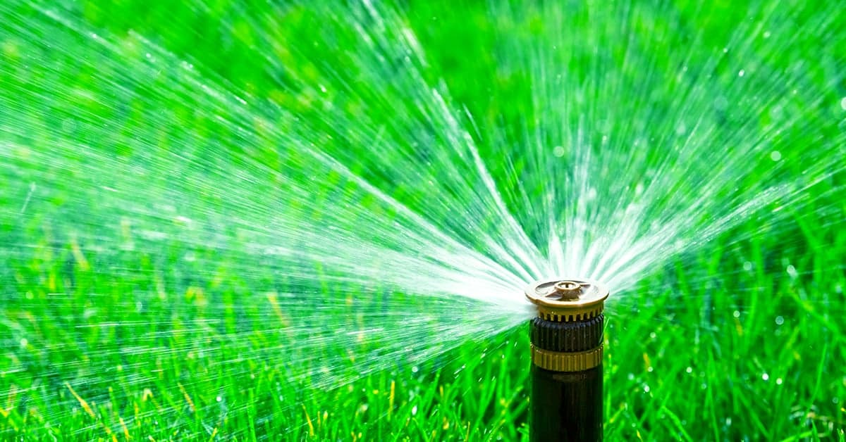 The Sprinkler Company Inc | Residential & Commercial Sprinkler Systems