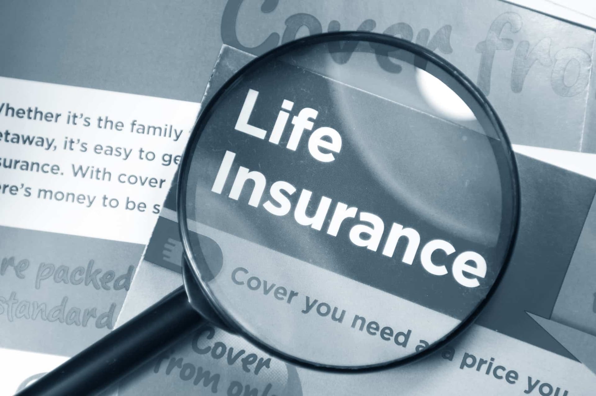 Stein Insurance Homeowners Insurance: Peace of Mind for Your Property