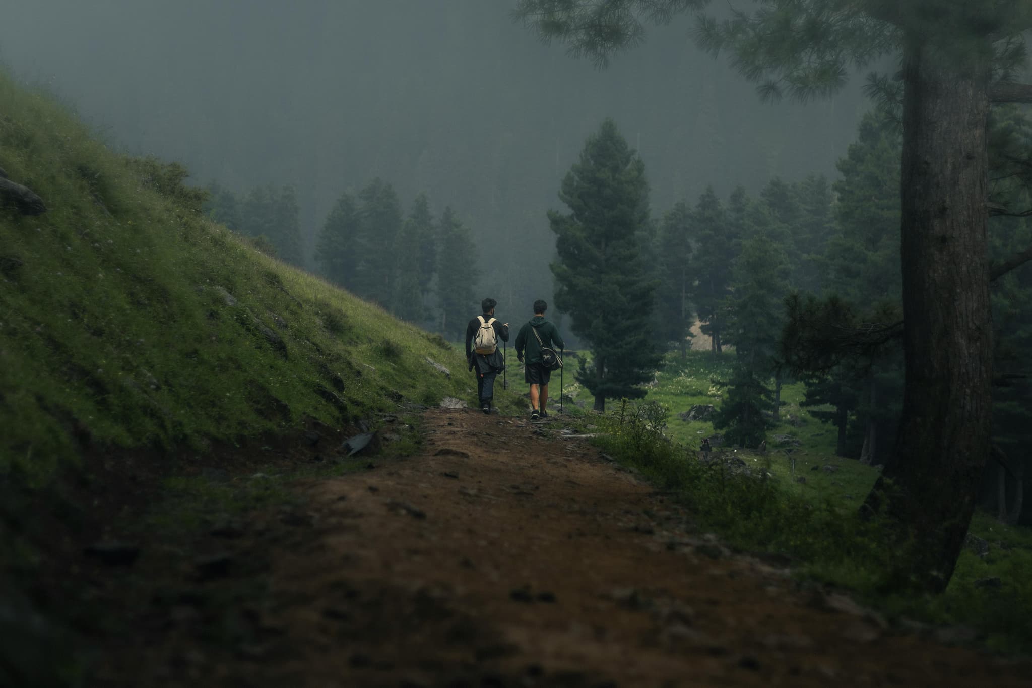 Cool Trails: Explore Wildlife, Birdwatching, and Scenic Hiking Adventures