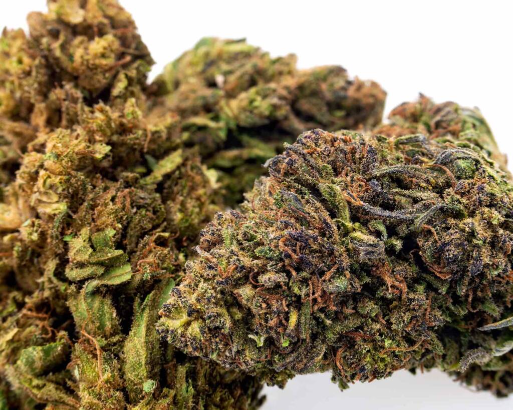 CBD hash wholesale con analíticas, logística rápida y precios profesionales en La Cosechera