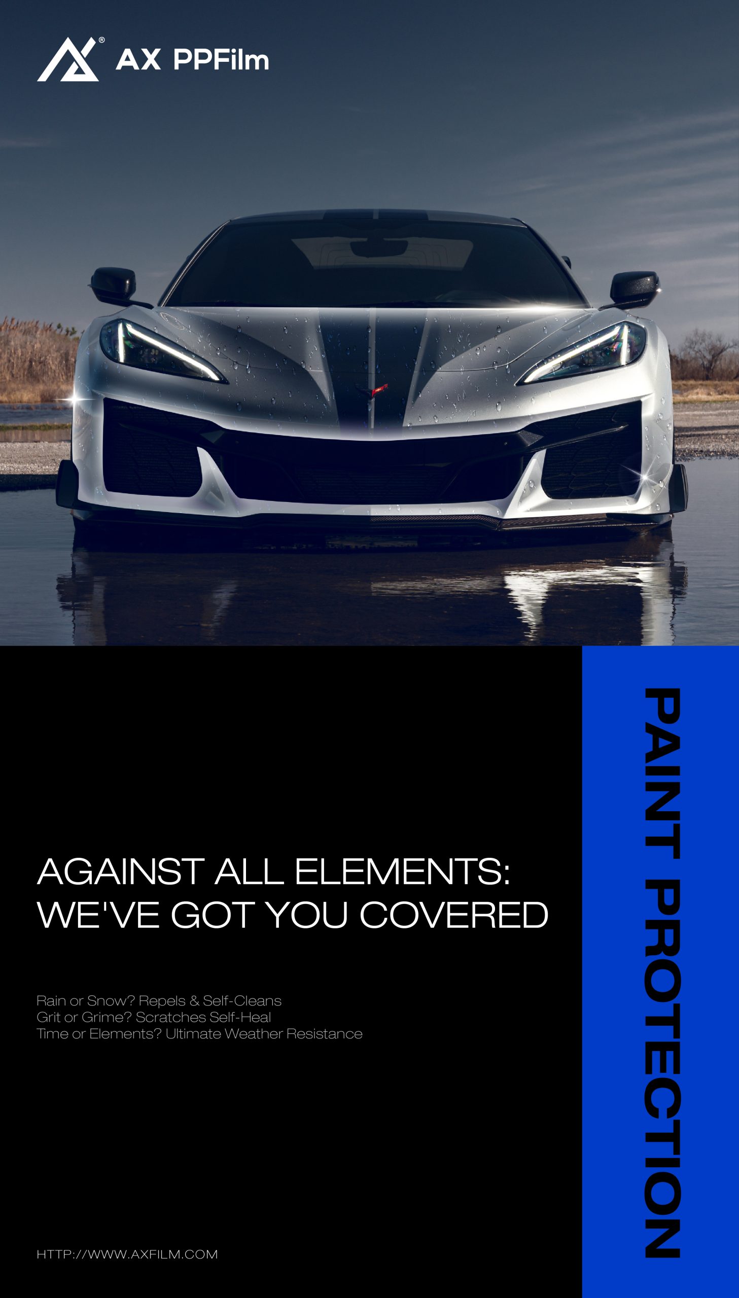 Enhance Your Ride with Premium Color PPF for Unmatched Protection and Style