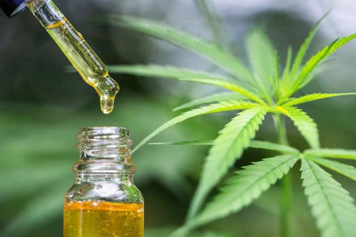 Unlocking the Potential of CBD Madrid: A Guide to Products and Benefits