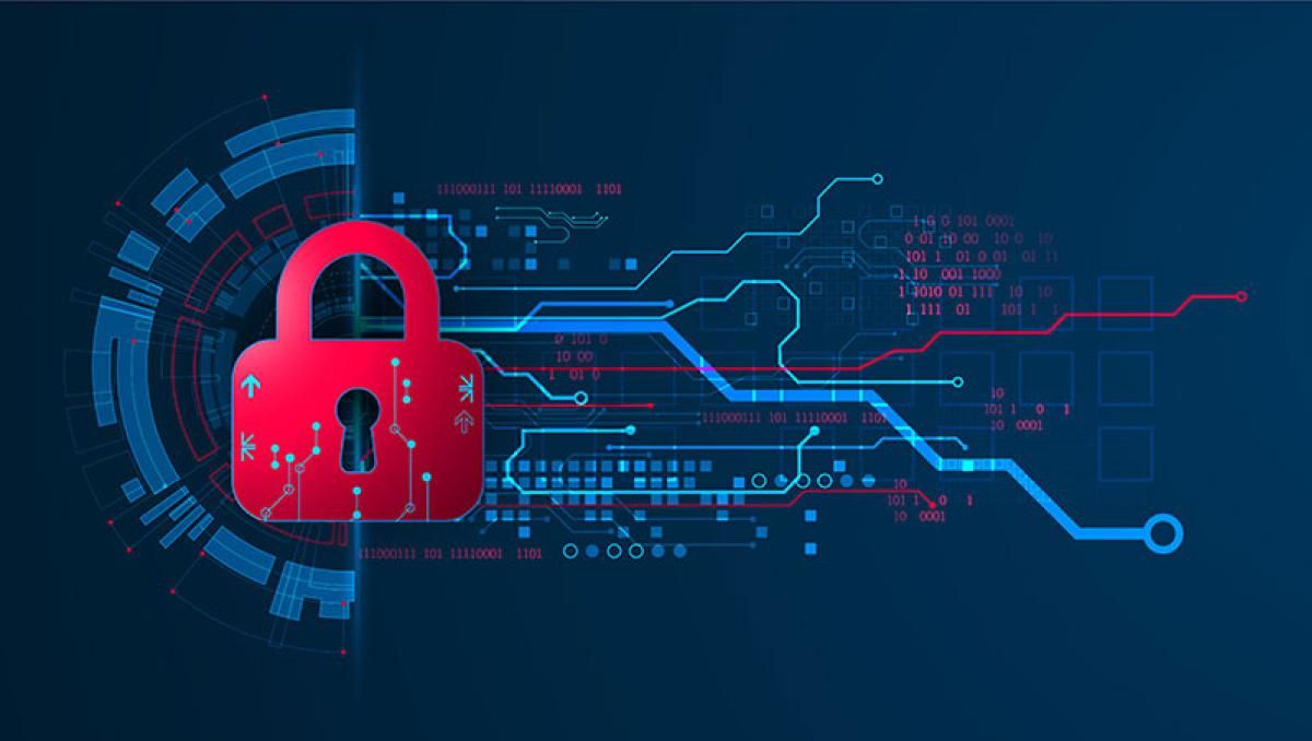 The Role of a privacy hardware store in Providing High-Quality Digital Privacy Gear