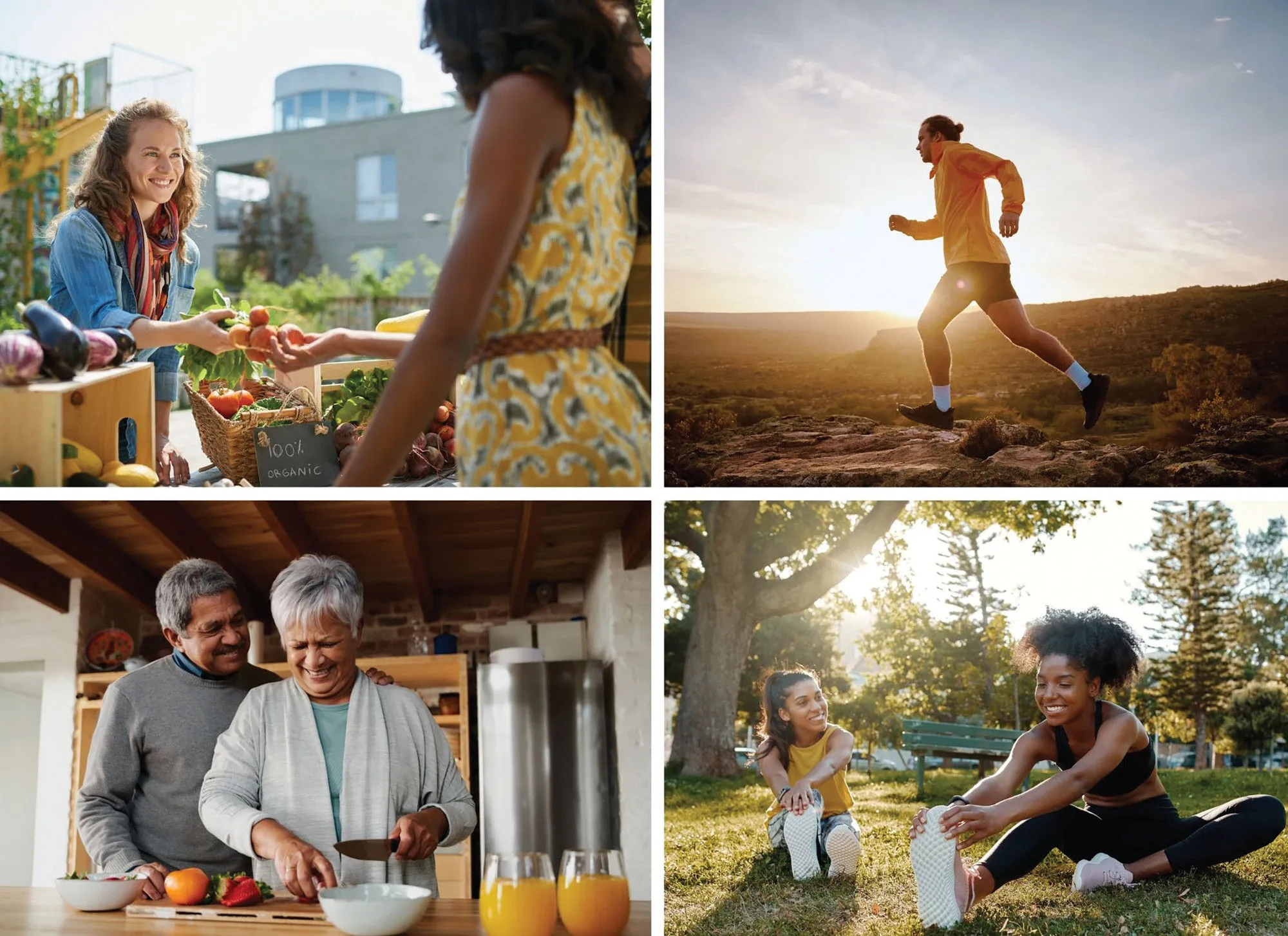 Life in a Break Down: Fun Finds and Quirky Product Reviews